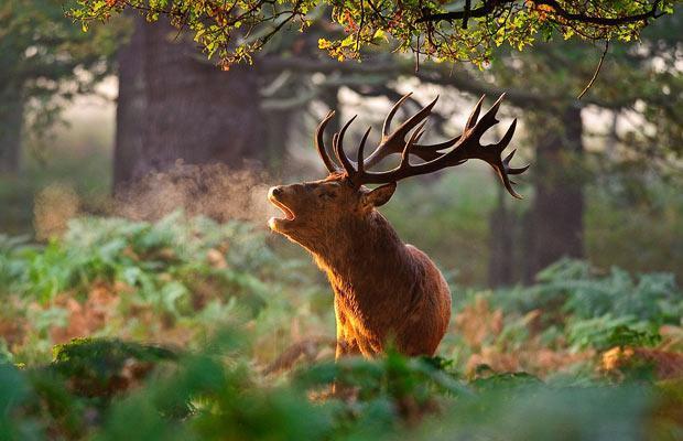 RichmondPark