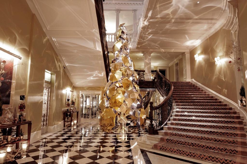 10 of the Best Christmas Trees