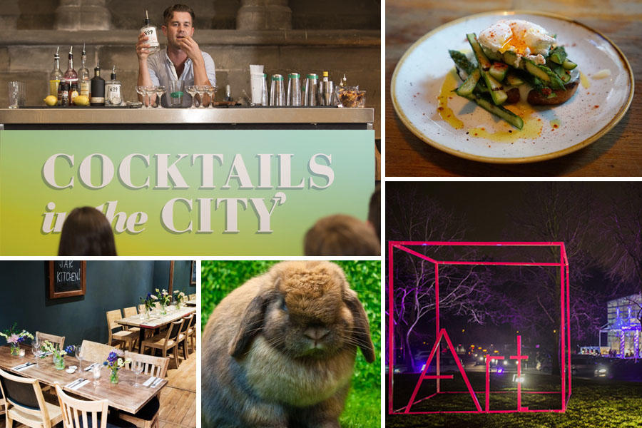 What To Do This Weekend: 12th – 13th March