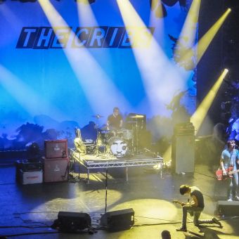 The Cribs