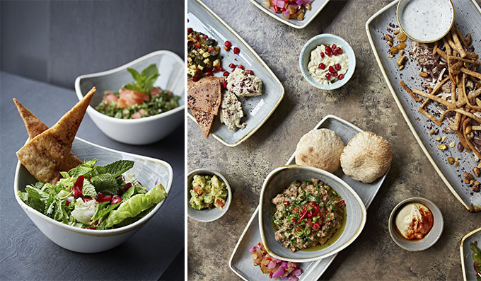 Tabun Kitchen Review: What We Thought