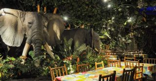 The Rainforest Cafe