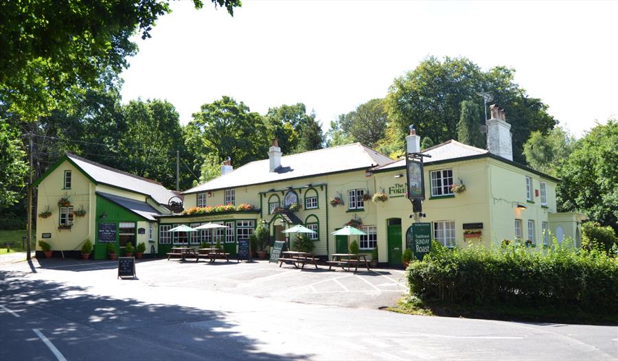 The Best Pubs Nestled in the New Forest