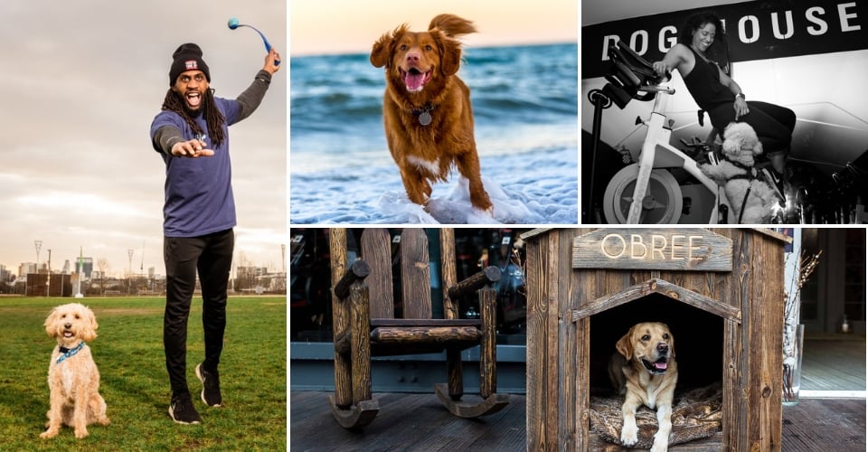 6 DogFriendly Gyms