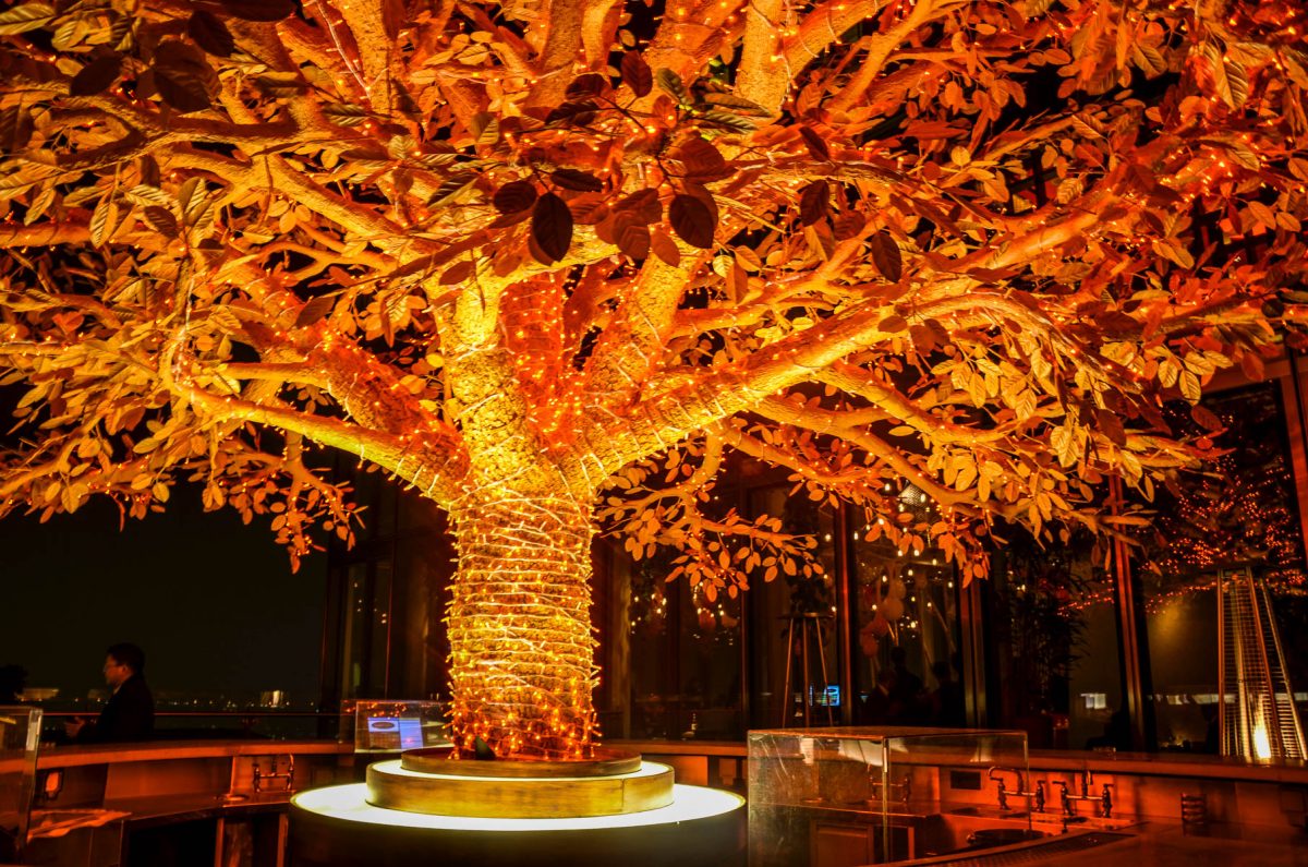 Where To Eat In…The City