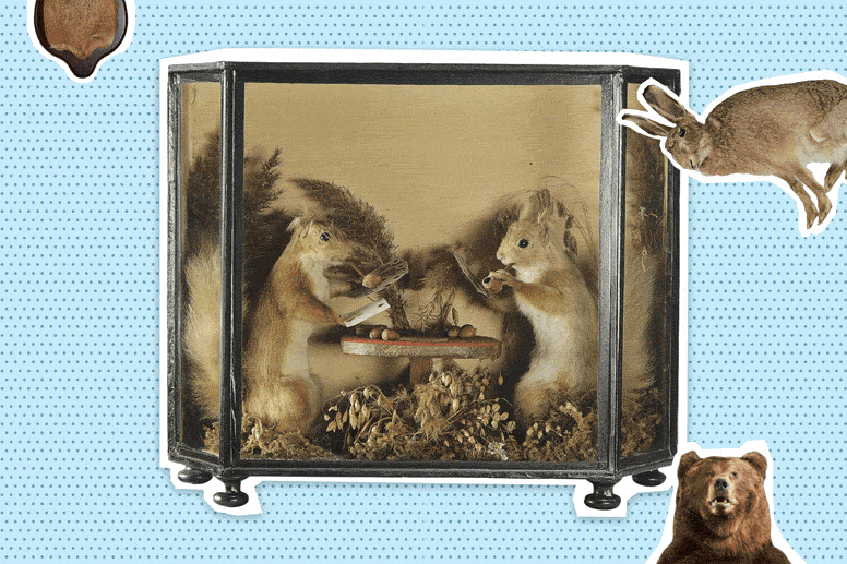 Where To Stuff Your Dead Cat: Taxidermy Classes For Beginners
