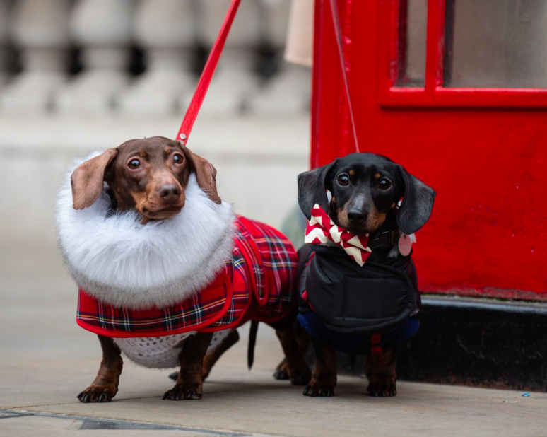 20 Fabulous Things To Do This Weekend
