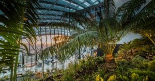Sky Garden