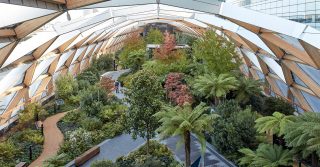Crossrail Place Roof Garden