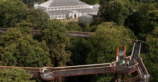 Kew Gardens Aerial Walkway