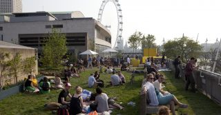 Queen Elizabeth Hall Roof Garden