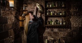 Harry Potter Festivities