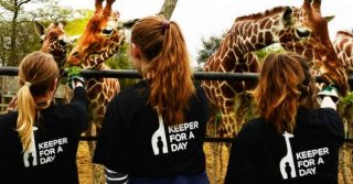 Junior Zookeeper For A Day At London Zoo