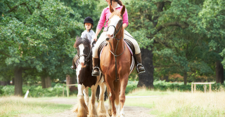Horse Riding Around Town