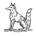 Fox Brothers & Co Ltd