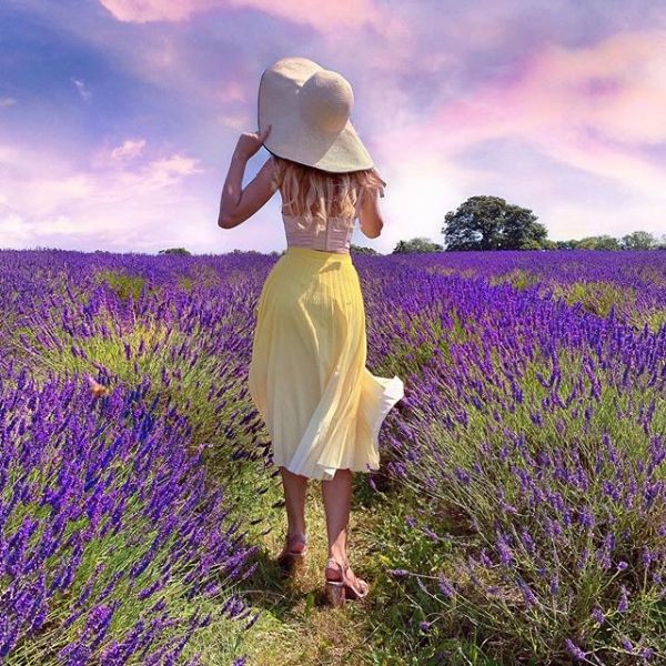 Like, Like! London Lavender To Light Up Your Instafeed…