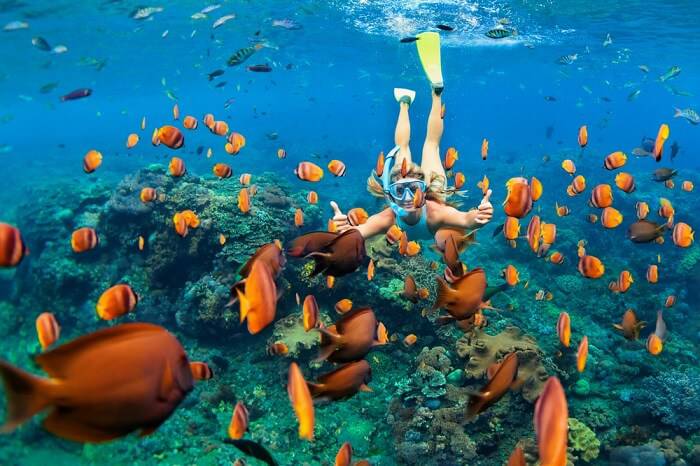 8 Of The World’s Best Snorkelling Spots