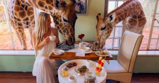 Giraffe Manor, Kenya