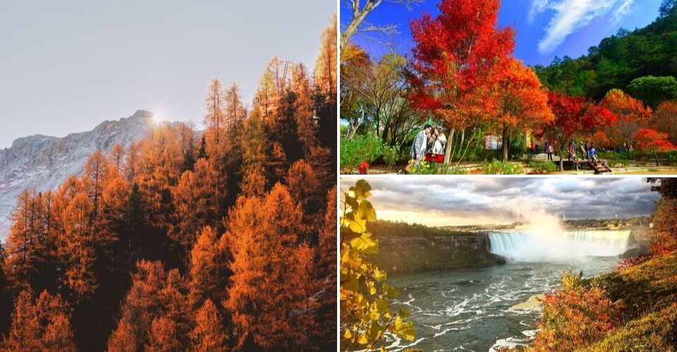 Fall In Love With The World’s Most Instagrammable Autumnal Locations