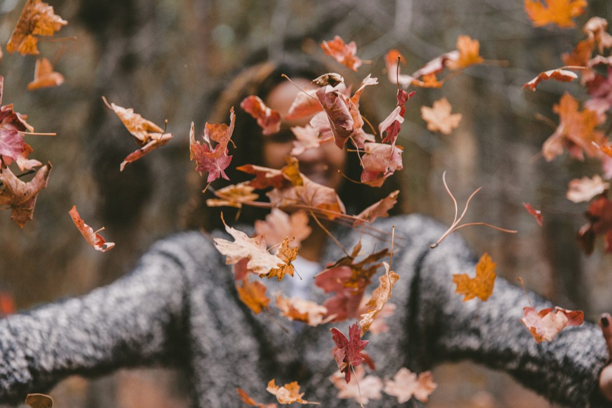 We’re Falling For These 7 Autumnal Walks