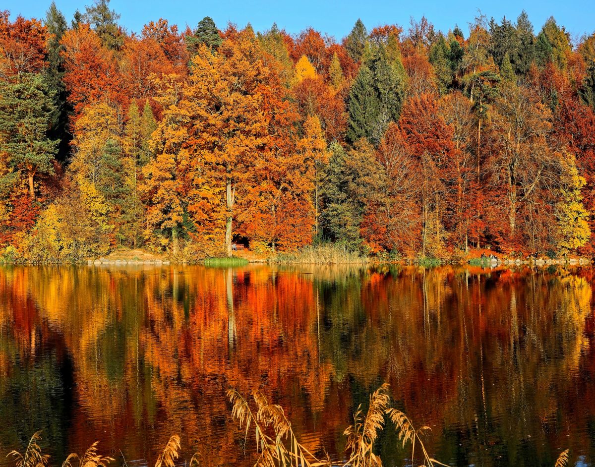 Fall In Love With The World’s Most Instagrammable Autumnal Locations