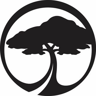 Arbor Skateboards