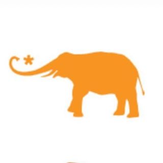 Elephant Journal