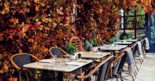 Dalloway Terrace