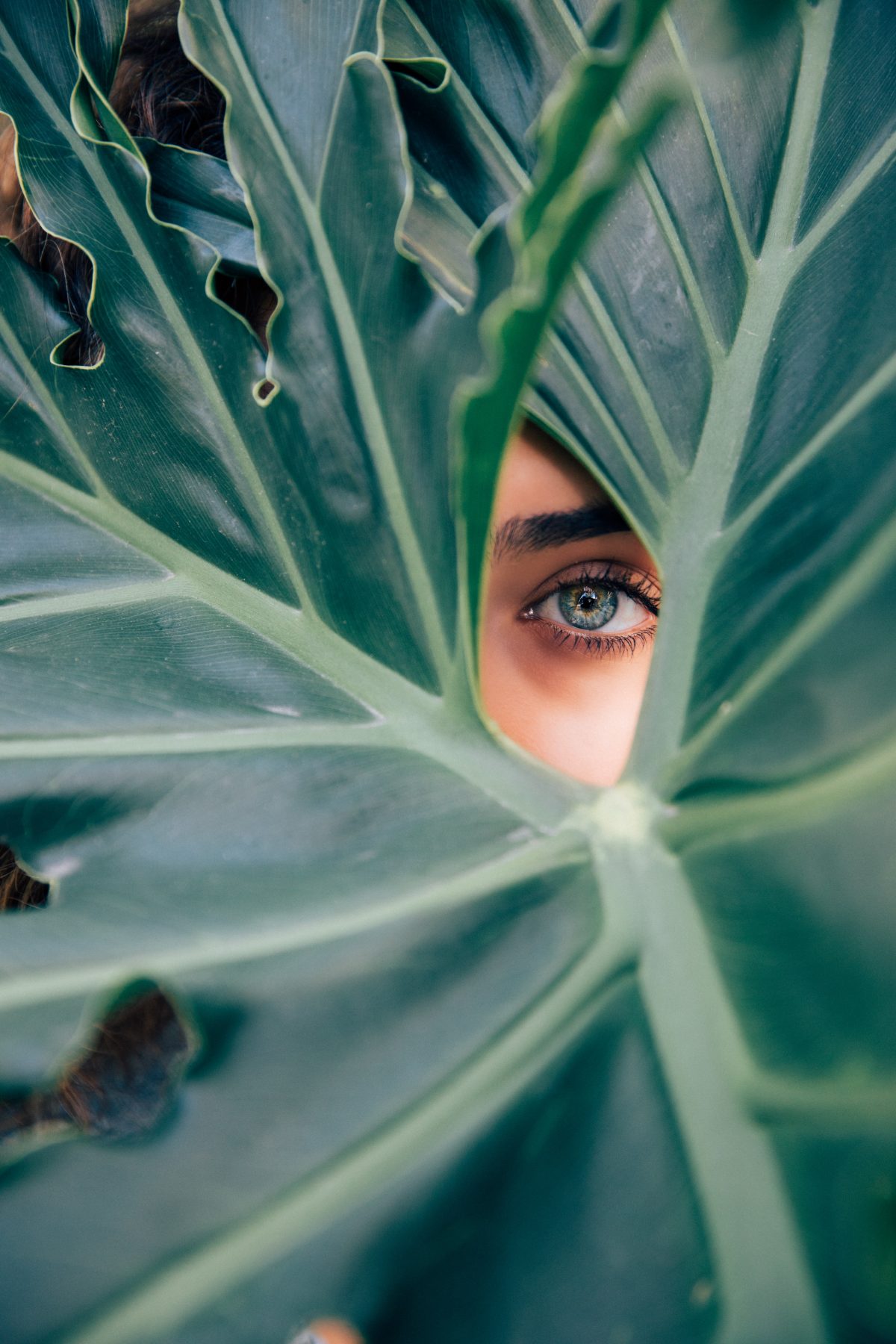 It’s High Time You Tried CBD Oil