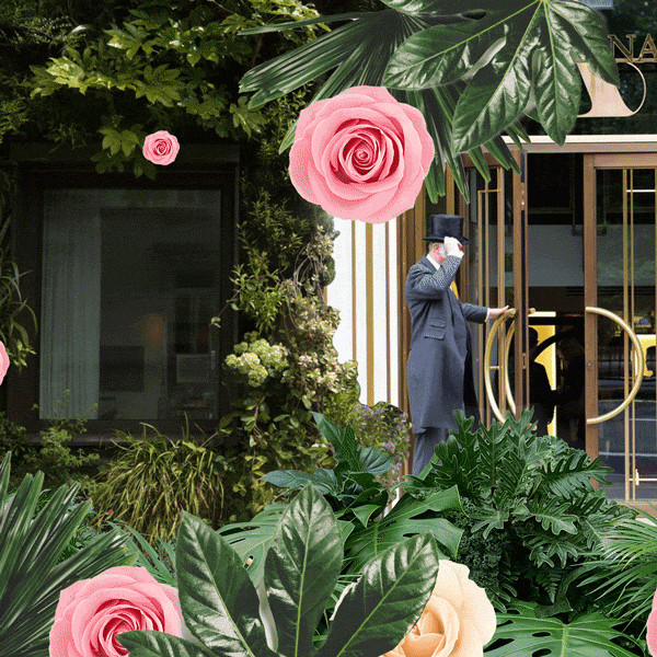 Time to Grow Up: 10 of London’s Greenest Living Walls