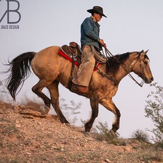 Derrick Begay