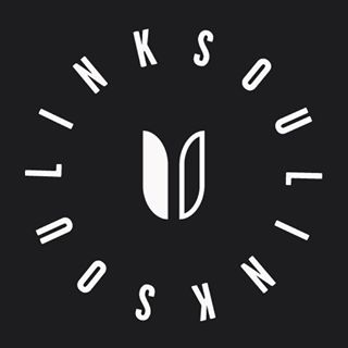 LINKSOUL