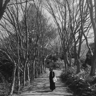 Charita Utami