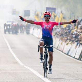 Alberto Bettiol