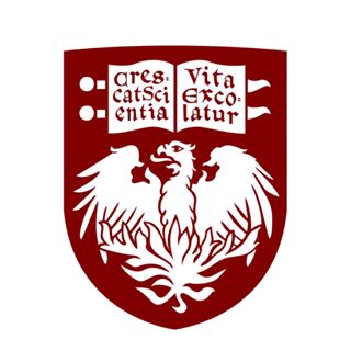 The University Of Chicago