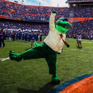 Albert Gator