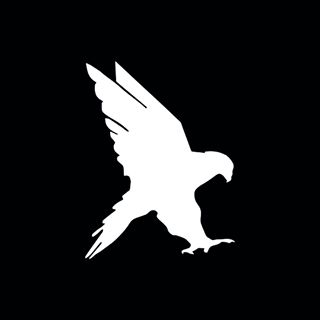 BLACK FALCON