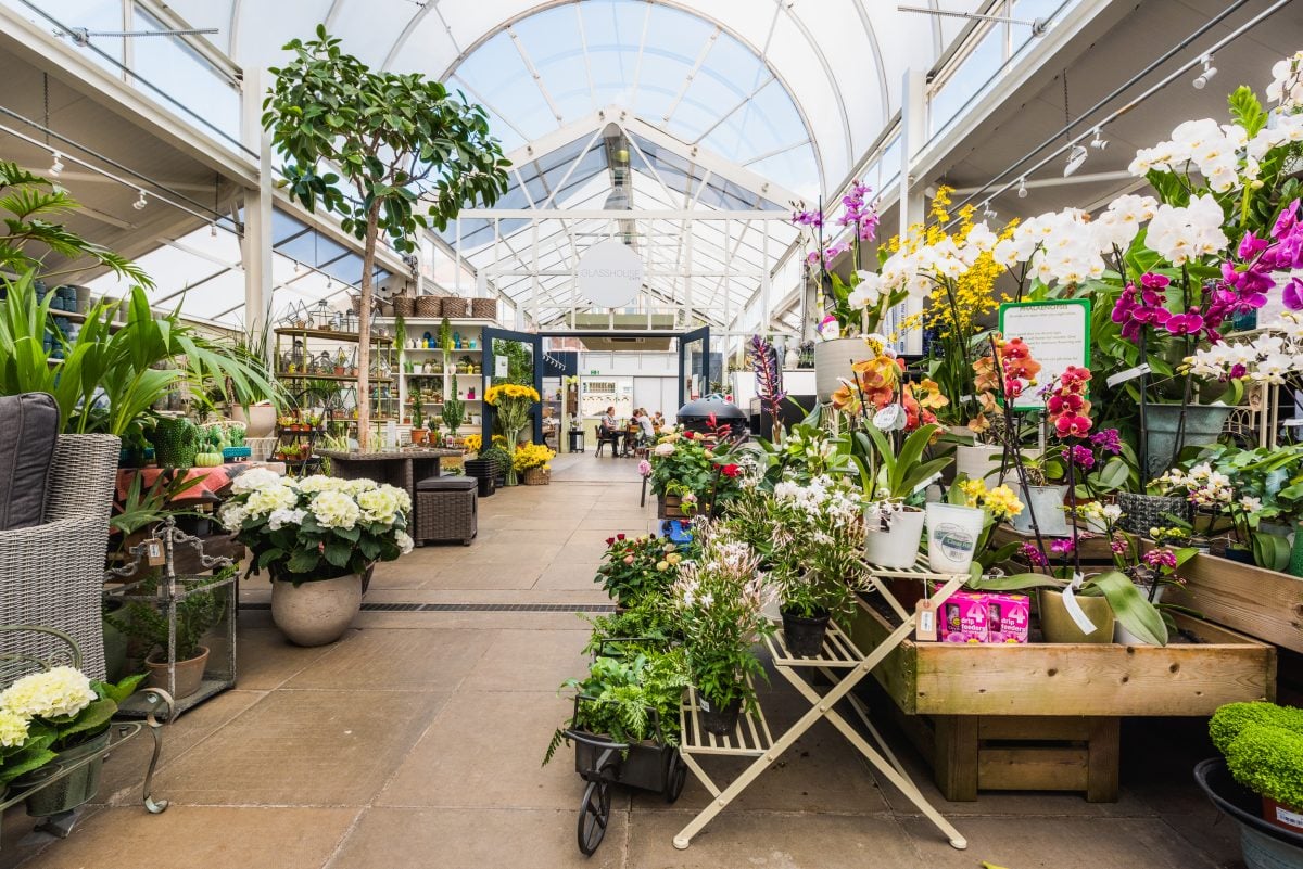 5 London Garden Centre Restaurants That're Unbeleafable