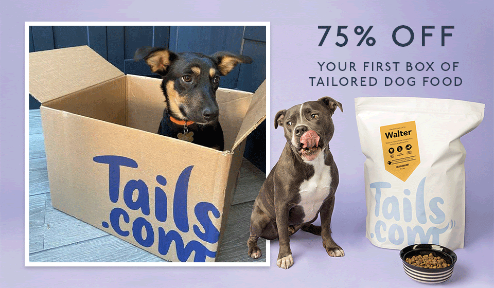 75% Off Tailor-Made Food For Your Dog