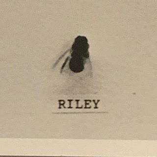 RILEY
