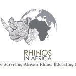 Rhinos