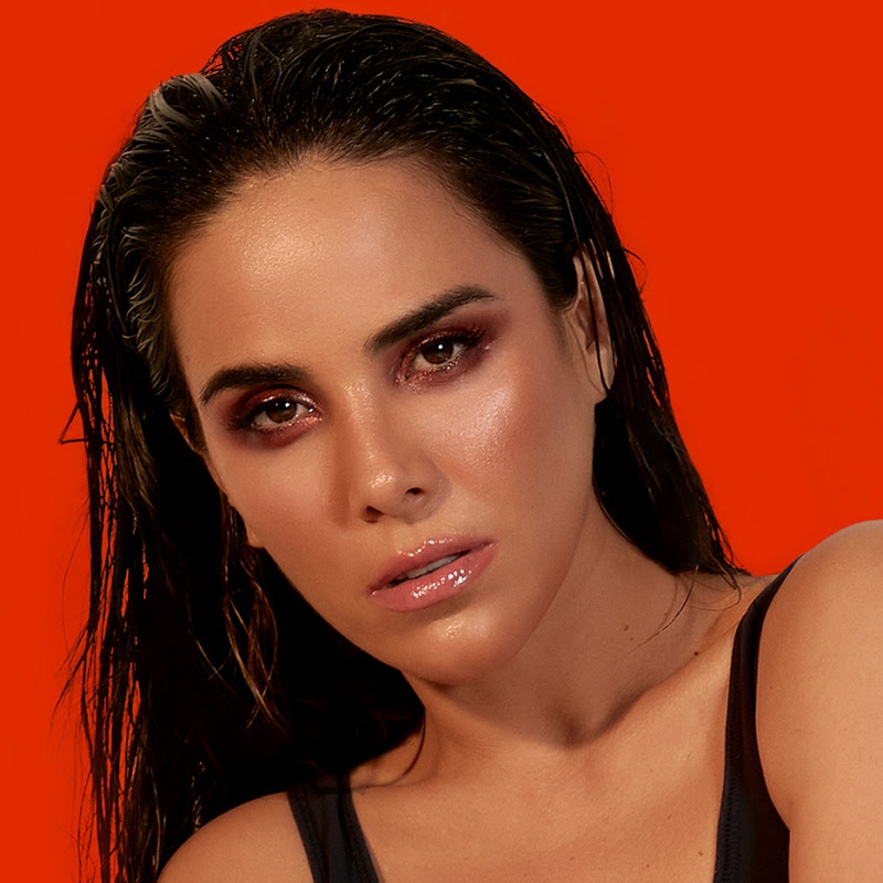 Contact Wanessa Camargo - Creator and Influencer