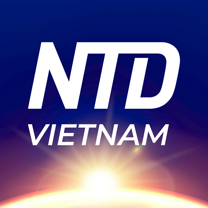 Contact NTD Việt Nam Creator and Influencer