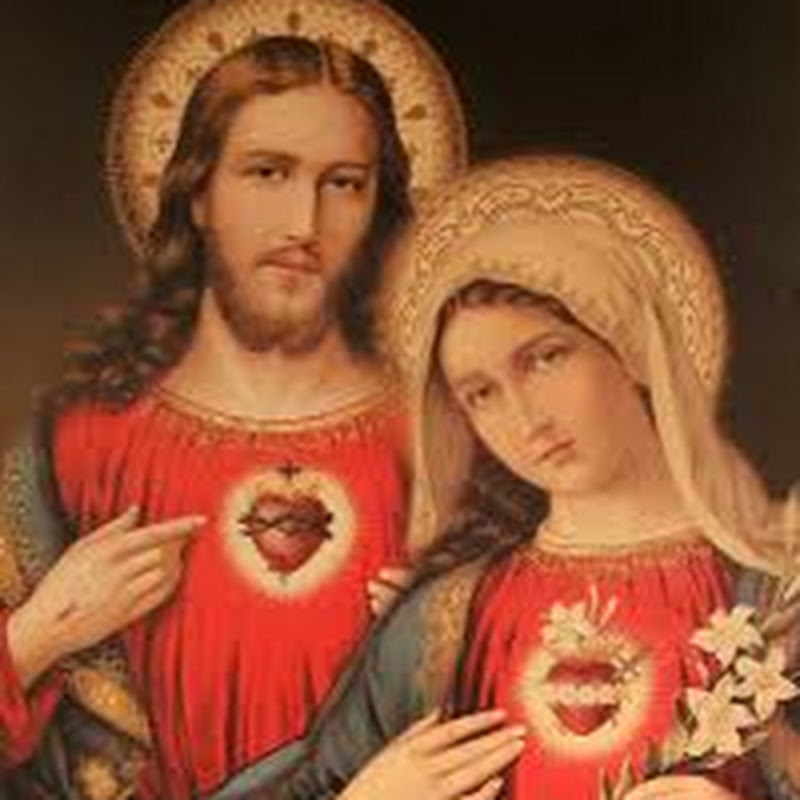 Contact Tradição Católica Deo Grátias Creator and Influencer