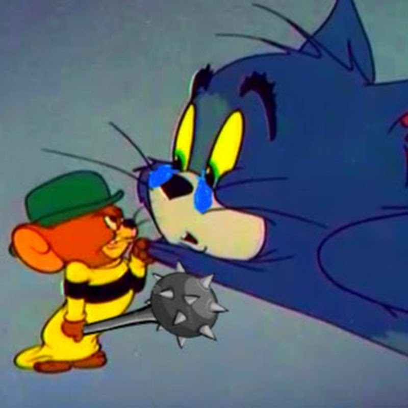 Jerry Agent Contact Tom Jerry 2019 - Agent, Manager and Publicist Details
