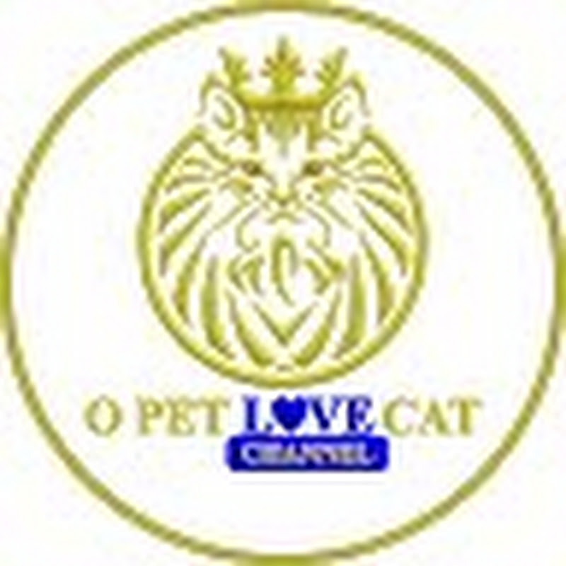 Contact O Pet LOVE CAT Creator and Influencer