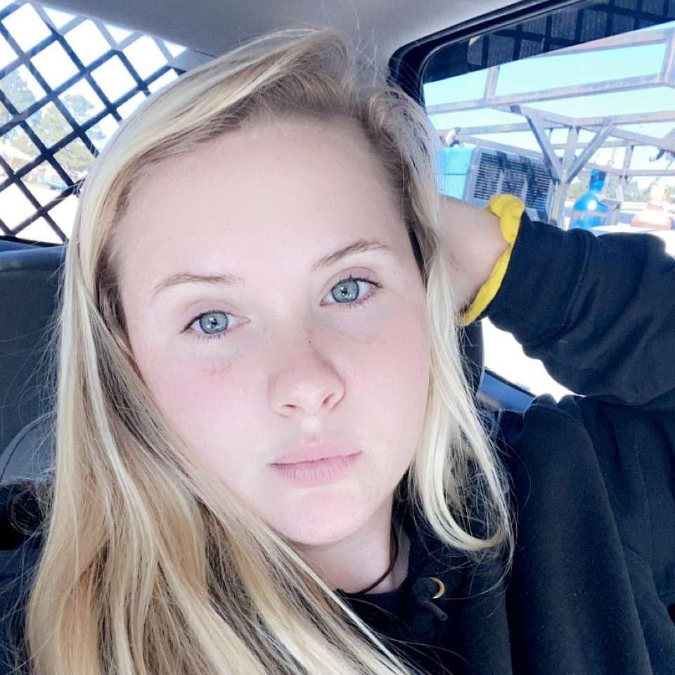 Britney Daniels - The Handbook