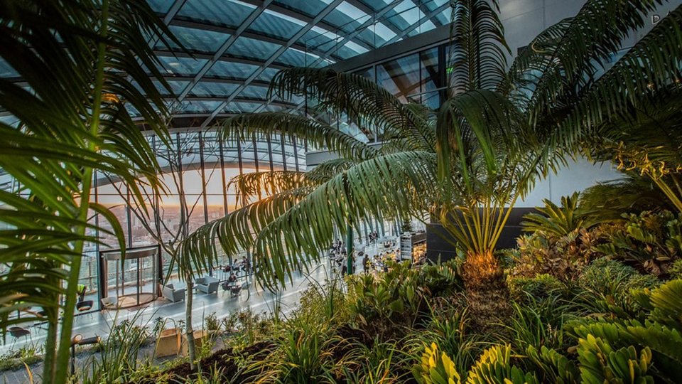 The Hanging Gardens Of, Er, Barbican? 10 Of London's Best Rooftop