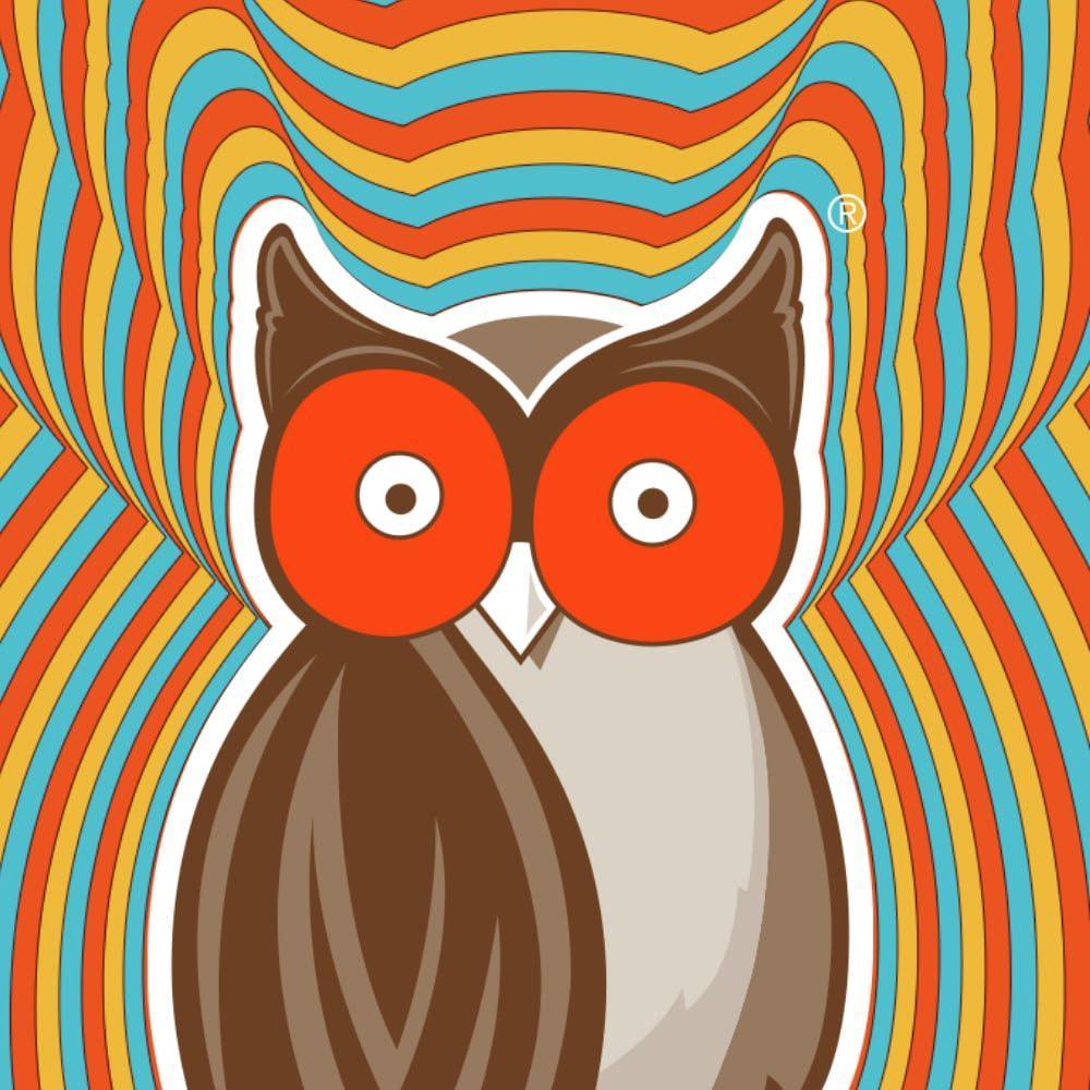 Contact Hooters - Creator and Influencer