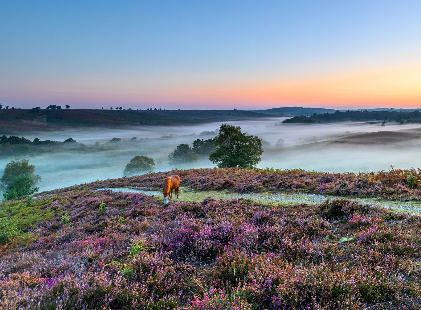 Having A Field Day: 10 English National Parks To Visit For Your Next Staycation